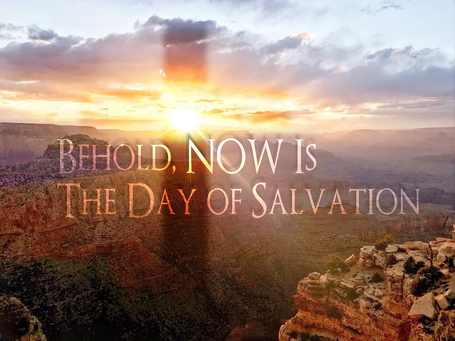 Salvation Now!